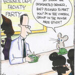 Strange Brew for May 13, 2026
