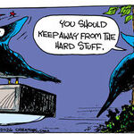 Strange Brew