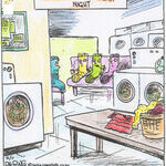 Strange Brew for Jun 11, 2026