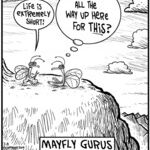 Free Range for Mar 08, 2014