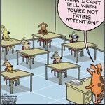 Free Range