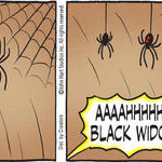 B.C. for Dec 31, 2025