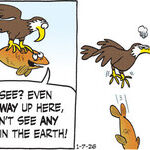 B.C. for Jan 07, 2026