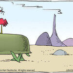 B.C. for Feb 03, 2026