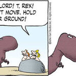 B.C. for Feb 06, 2026