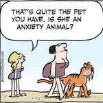 B.C. for Feb 12, 2026