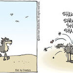 B.C. for Apr 13, 2026