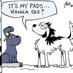 Dogs of C-Kennel for Feb 15, 2012