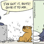 Dogs of C-Kennel for Feb 16, 2012