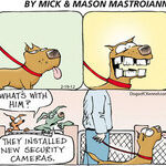 Dogs of C-Kennel for Feb 19, 2012