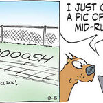 Dogs of C-Kennel