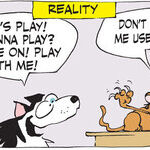 Dogs of C-Kennel