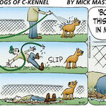 Dogs of C-Kennel