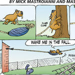 Dogs of C-Kennel