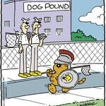 Heathcliff for Feb 25, 2014