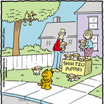 Heathcliff