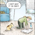 Speed Bump for Sep 11, 2025