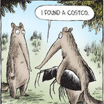 Speed Bump for Oct 25, 2025
