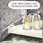 Speed Bump for Nov 14, 2025