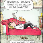 Speed Bump for Dec 31, 2025