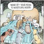 Speed Bump for Feb 21, 2026