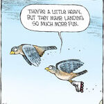 Speed Bump for Aug 11, 2026