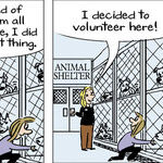 On a Claire Day for Dec 31, 2013