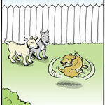 Long Story Short for Sep 02, 2017