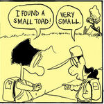 Agnes for Mar 07, 2026