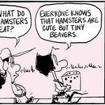 Agnes for Feb 06, 2026