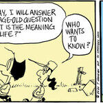 Agnes for Feb 13, 2026