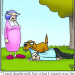 Spectickles for Jun 15, 2026