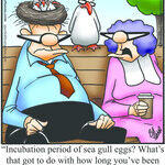 Spectickles for Aug 13, 2026