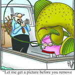 Spectickles for Oct 02, 2026