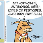 The Barn for Jul 22, 2014