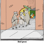 Chuckle Bros for Jan 15, 2014