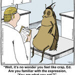 Chuckle Bros for Apr 26, 2014