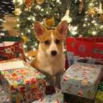 Christmas 2017