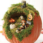 Fall Lawn and Garden 2016