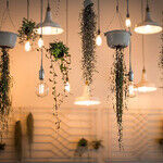 Spring/Summer Home Improvement 2024