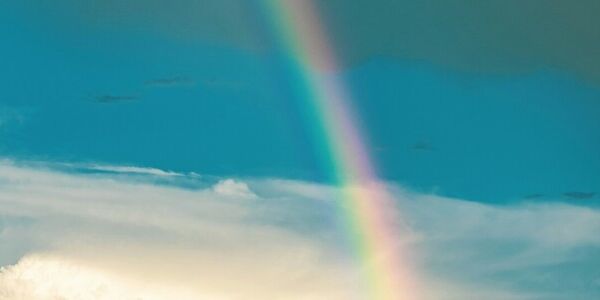 The Persistence of Rainbows