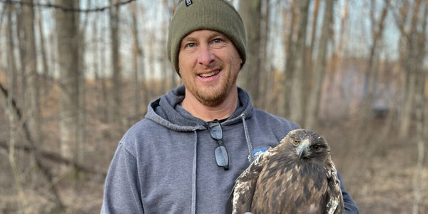 We Can't Protect What We Don't Understand: the Case of Eastern Golden Eagles