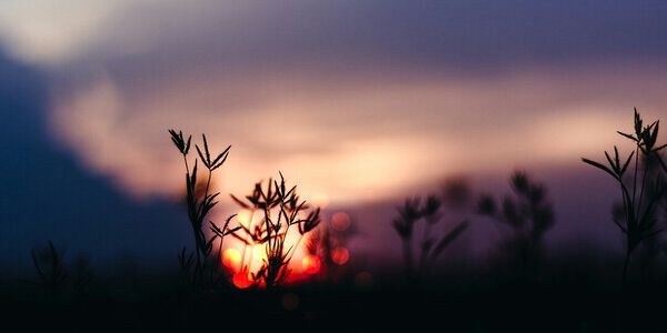 Sagittarius Sun's Last Breath