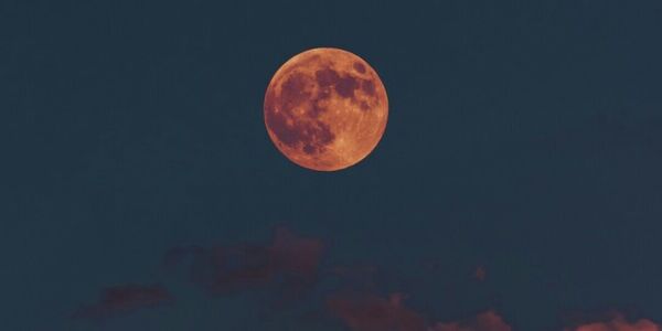 Under a Gregarious Sagittarius Moon