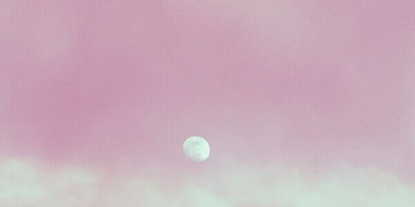 Pink Moon Afterthoughts