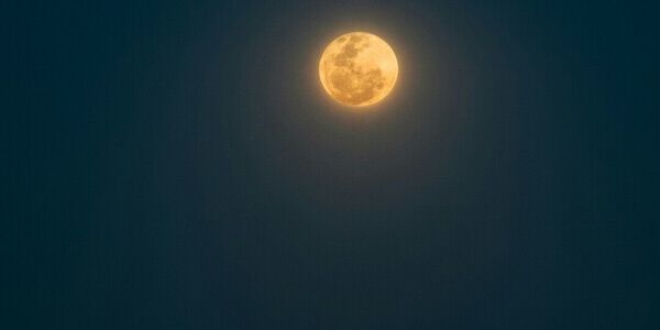 Squirrelly New Moon Plans