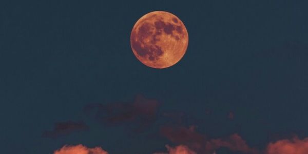 New Moon Times Four
