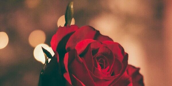 A Punch to the Heart