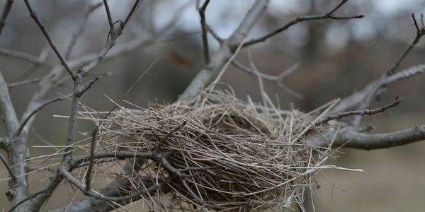 Mom Needs To Feel Needed