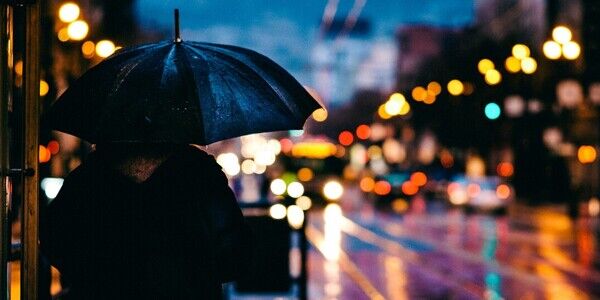 Sibling Relationship in Shambles